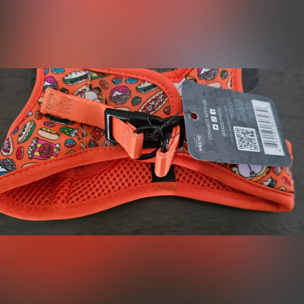 Disney Sassy Meow Orange Garfield Harness, Collar and Leash Set (S)